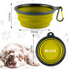 Silicone Portable Pet Bowl Collapsible (Green)